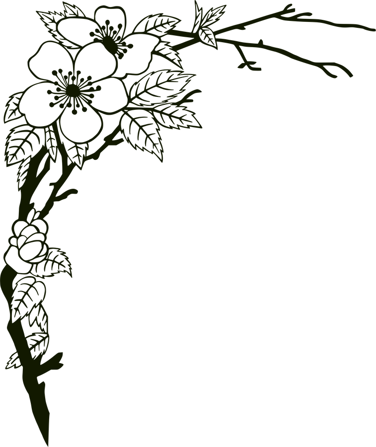 Flower Brach Border Illustration